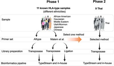 Ultrarapid and high-resolution HLA class I typing using transposase-based nanopore sequencing applied in pharmacogenetic testing